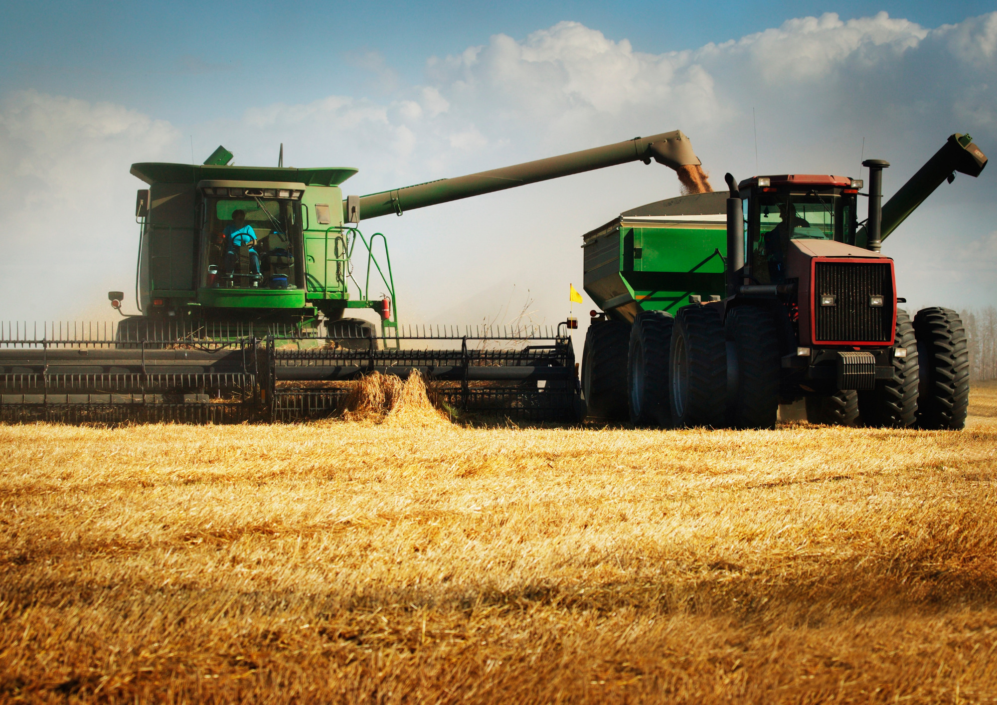 Untitled design (28)