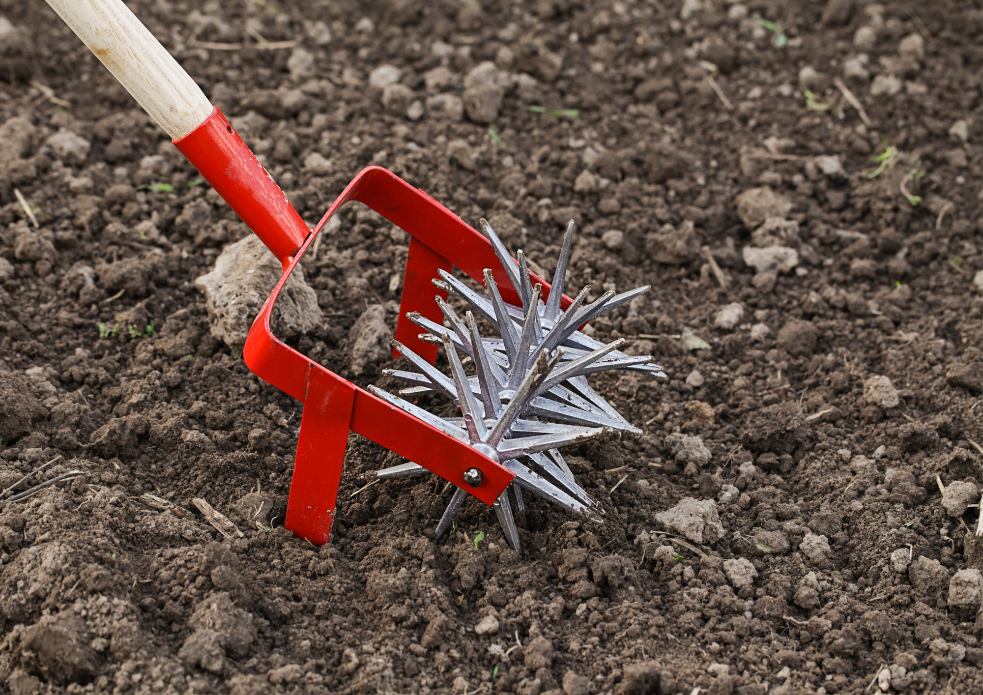 Untitled design (29)