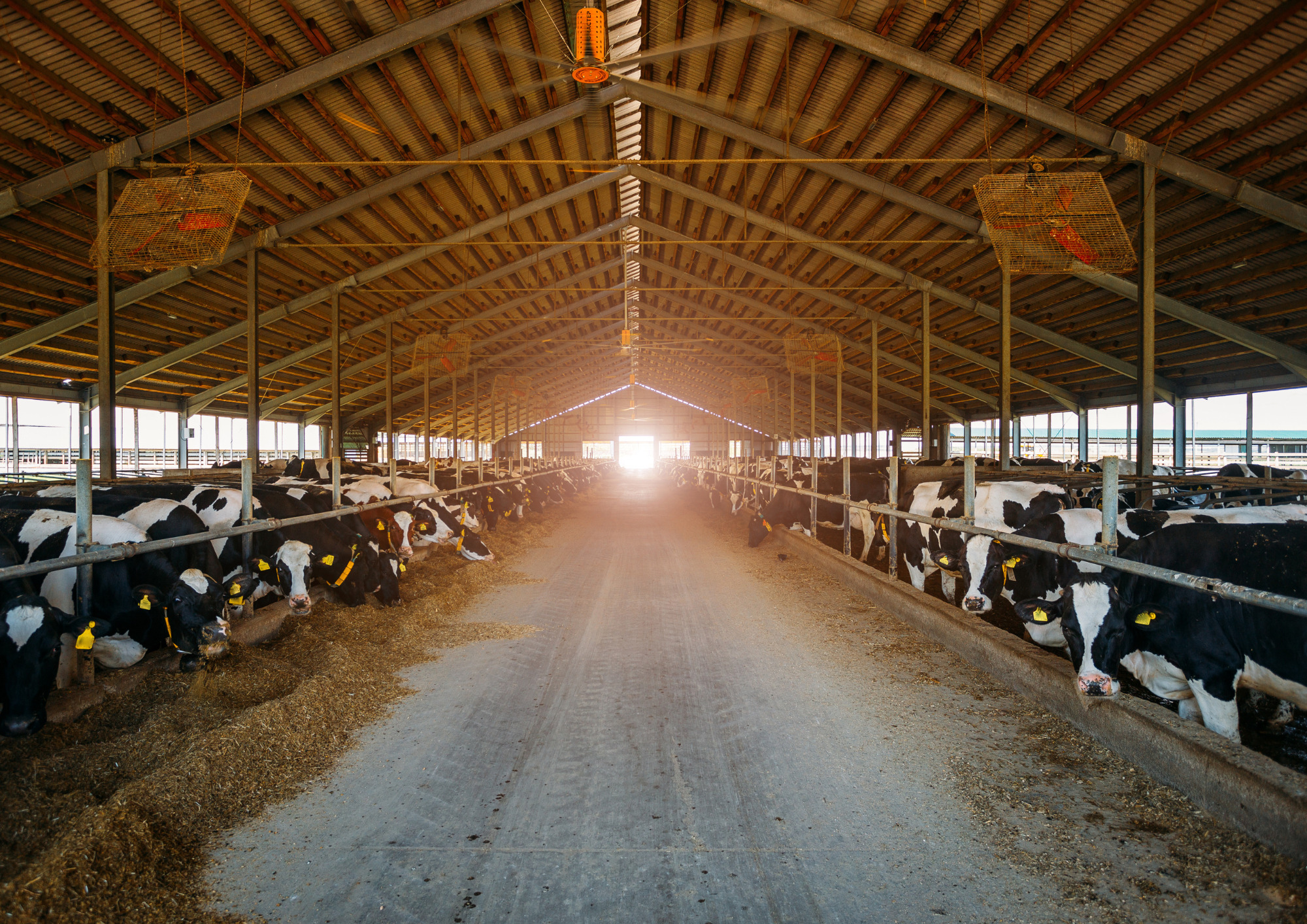 Untitled design (31)